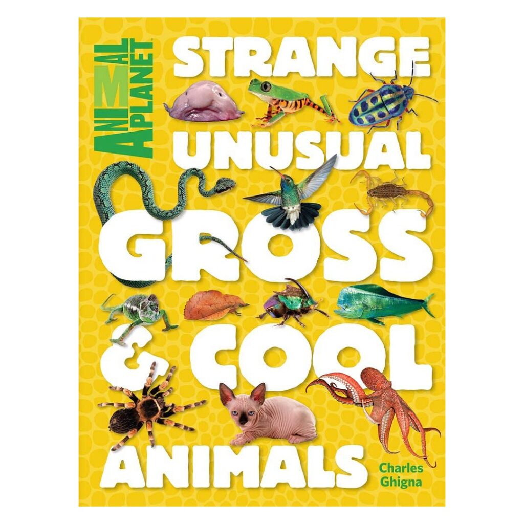 Strange, unusual, gross and cool animals - Book Review
