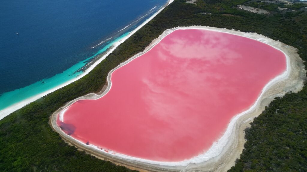 Lake Hiller of west Australia is arguably one of those strange places in the world 
