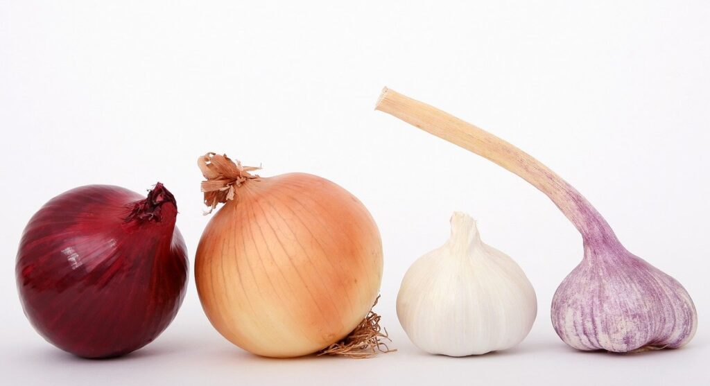 Foods that increase Penis size - Onions
