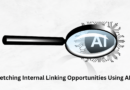 Internal Linking Opportunities