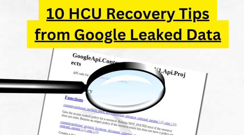 HCU Recovery Tips From Leaked Google Algorithm Data