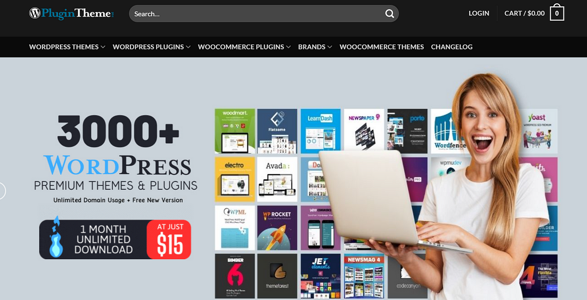 PluginTheme.net Review