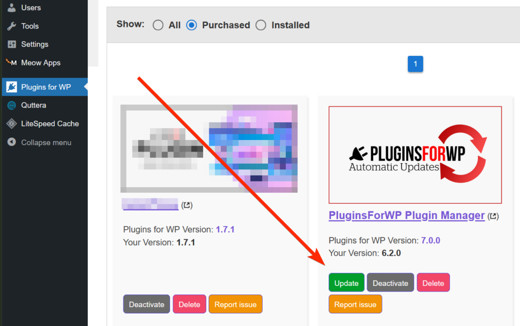 Pluginsforwp Automatic Upgrades